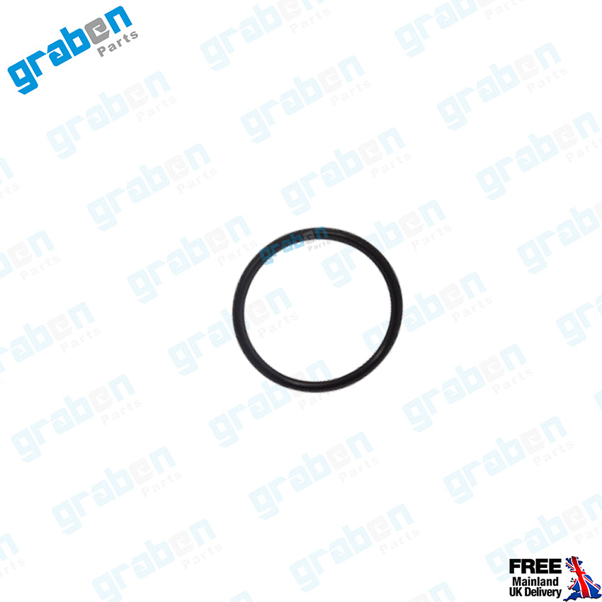 Grabenparts_Turbo Hose Gasket For Mercedes Sprinter / Vito / C Series / E Series 219976545_
