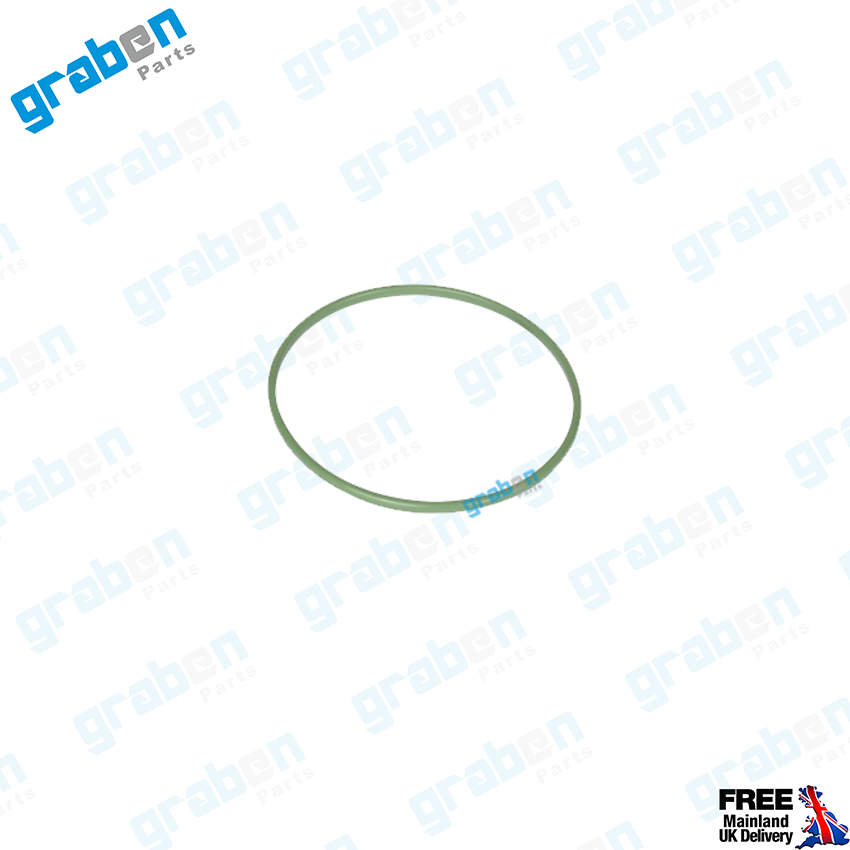 Grabenparts_Fuel Pump Basket Seal For Fiat / Alfa Romeo / Lancia 46523406 , 68101364AA_