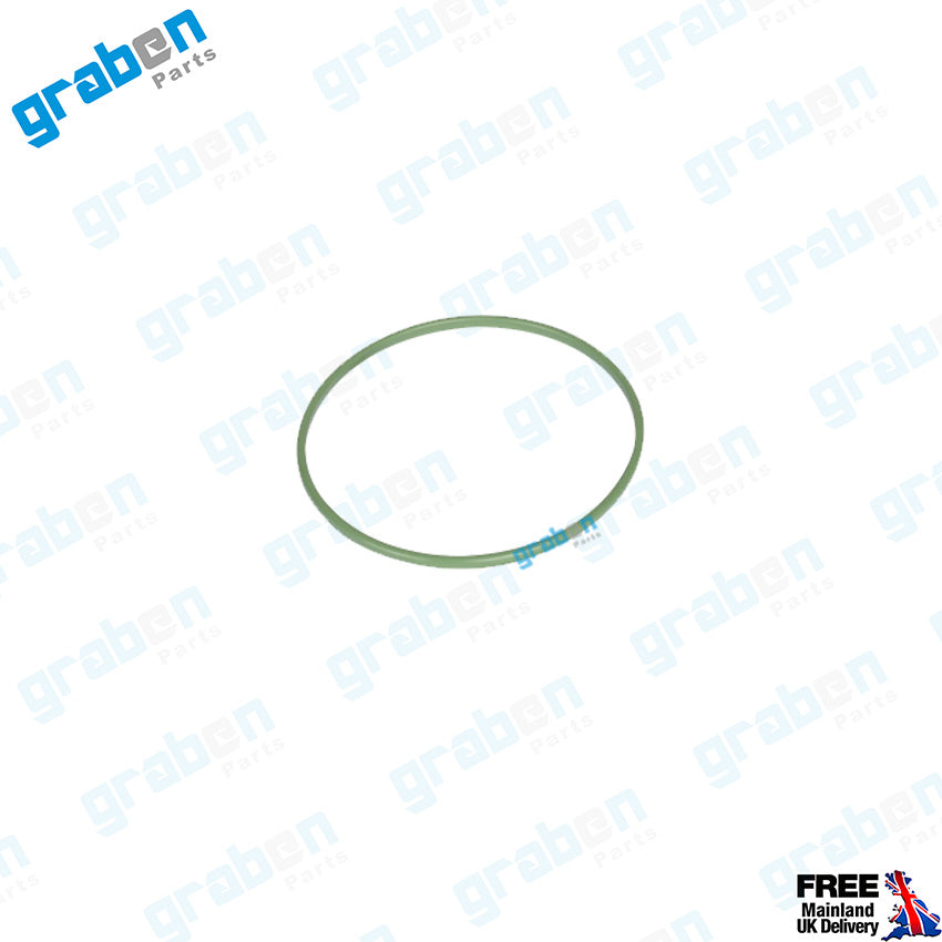 Grabenparts_Fuel Pump Basket Seal For Fiat / Alfa Romeo / Lancia 46523406 , 68101364AA_