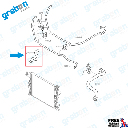 RADIATOR LOWER HOSE FOR FORD FOCUS II 1.4 / 1.6 / VOLVO S40 / V50 / C30 1.6 3M5H8286BJ 1384145 3M5H8286BH 30741964 